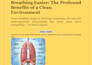 create articles and blogs SEO writing